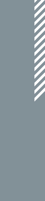 grey line grey line
